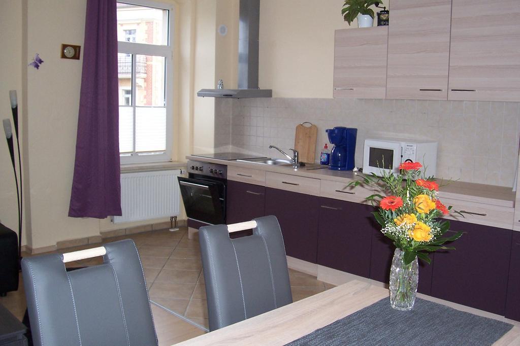 Appartement Am Schunckpark Dresde